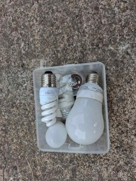 Photo of free Edison Screw light bulbs (Colwall Green WR13) #1