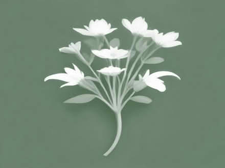 Photo of free Seeds of Edible Flowers - Hoary Stock (Ramsgate CT11) #1
