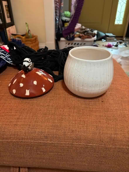 Photo of free Mushroom and Snail Jar (Near Chelmsford Center) #2
