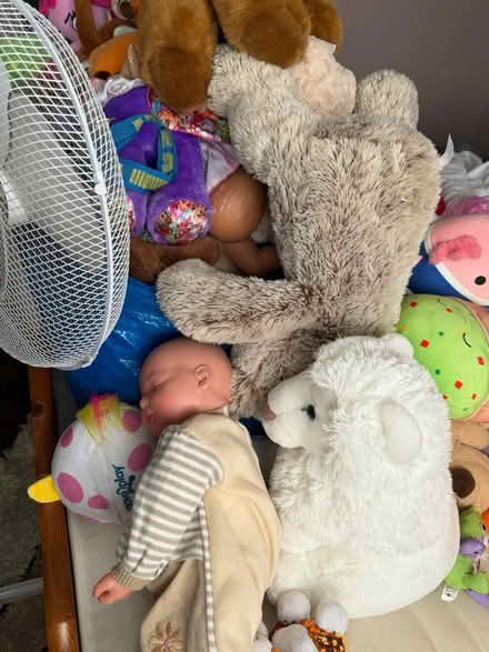 Photo of free Teddies and few dolls (Shefford SG17) #4