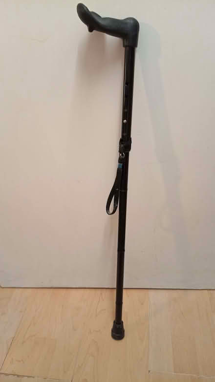 Photo of free right handed ergonomic handle walking stick (Boscombe BH5) #1