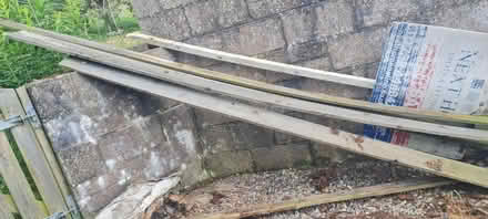 Photo of free Wood (Fowlis Wester PH7) #3