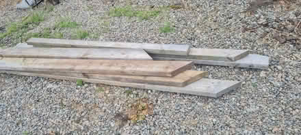 Photo of free Wood (Fowlis Wester PH7) #4