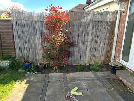 Photo of free Paving slabs, bricks, plant pots and screening (Saltney Ferry CH4) #2