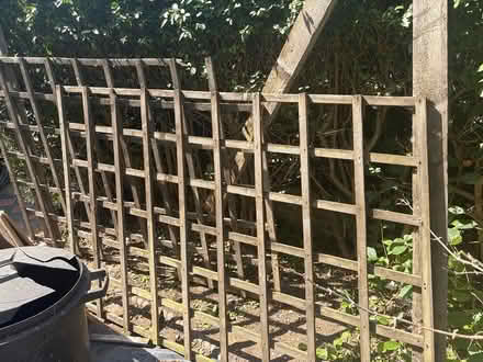 Photo of free Old Trellis (Islington, N19) #1