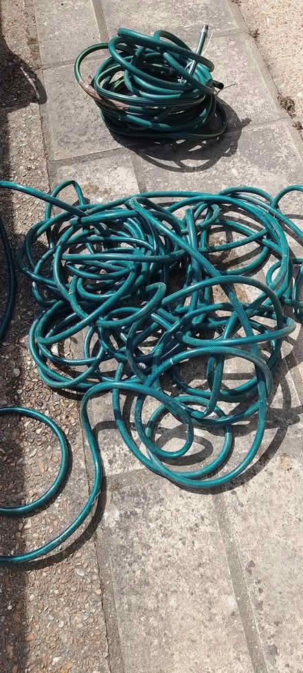 Photo of free Hose pipe (TN40 bexhill) #1