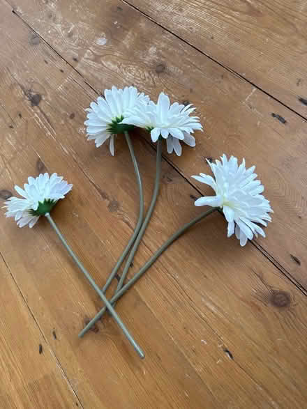 Photo of free 4 fake flowers (St Albans AL4) #1