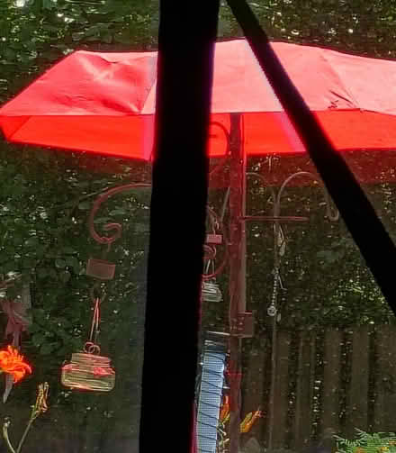 Photo of travel umbrella (Westmont) #1