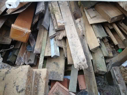 Photo of free Mountain of wood (Tile Hill CV4) #1