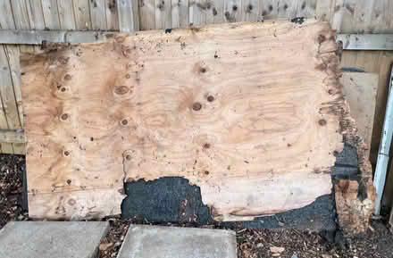 Photo of free Roof wood (Belle vue Shrewsbury SY3) #1