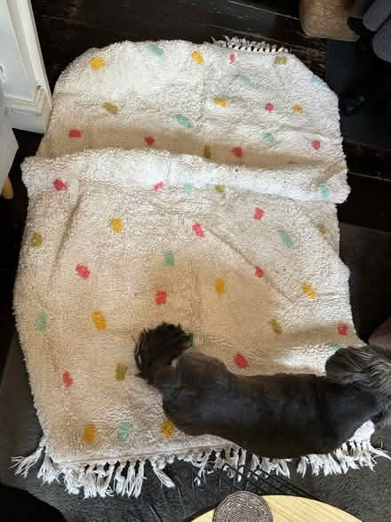 Photo of free Rug (cream with dots) (Ladywell SE13) #1