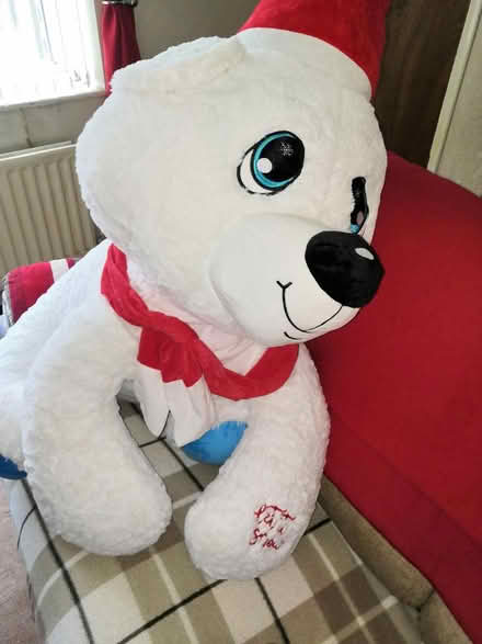 Photo of free Teddy (Sheriff Hill NE9) #3
