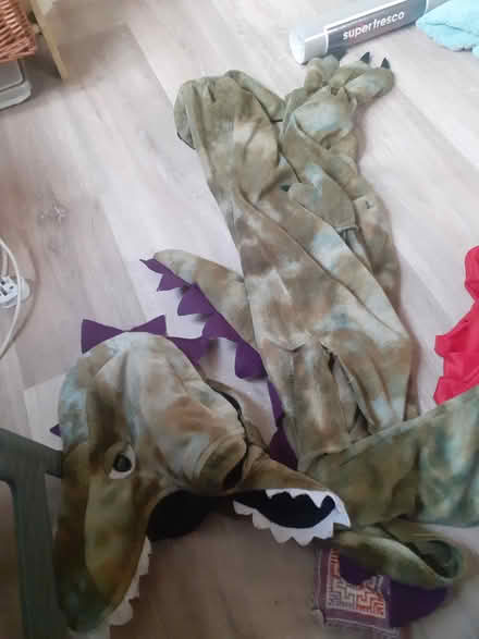 Photo of free A child dinasor (Handsworth B21) #1