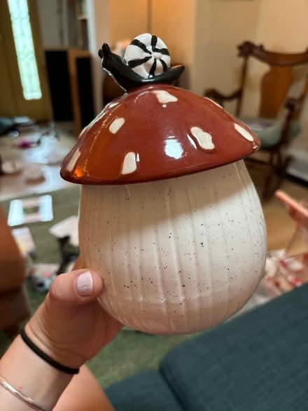 Photo of free Mushroom and Snail Jar (Near Chelmsford Center) #1