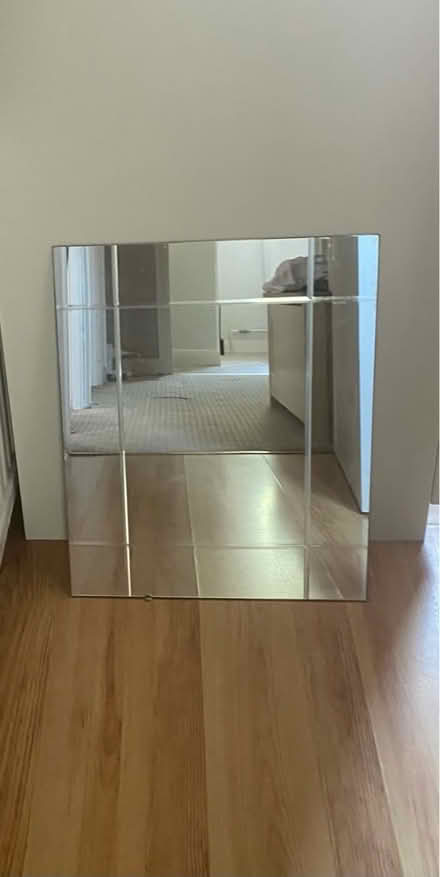 Photo of free Mirror (Langley SL2) #1