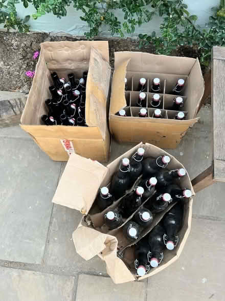 Photo of free Empty Grolsch style bottles (St Nicholas SG1) #2