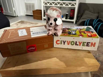 Photo of free stuffed animal making kit (Palisades, NW, WDC) #1