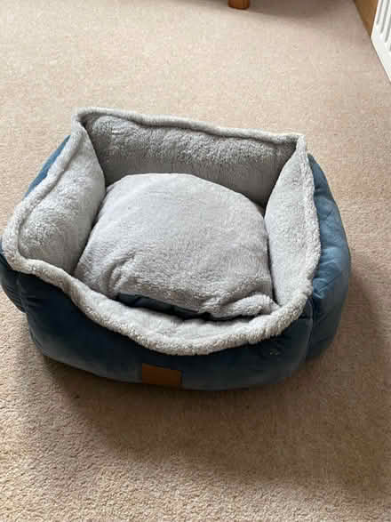 Photo of free Cat/ Small Dog Bed (Murton/Hilton CA16) #1
