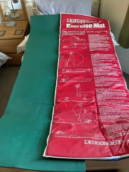 Photo of free Padded exercise mat and camping mat (West Hill TN34) #1