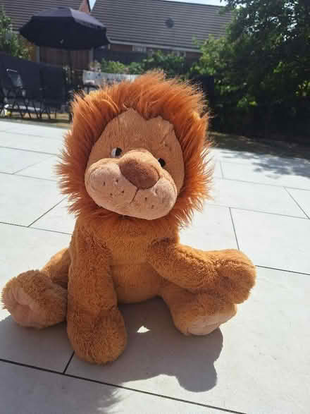 Photo of free Soft lion,teddy bear big size (Solihull B90) #3
