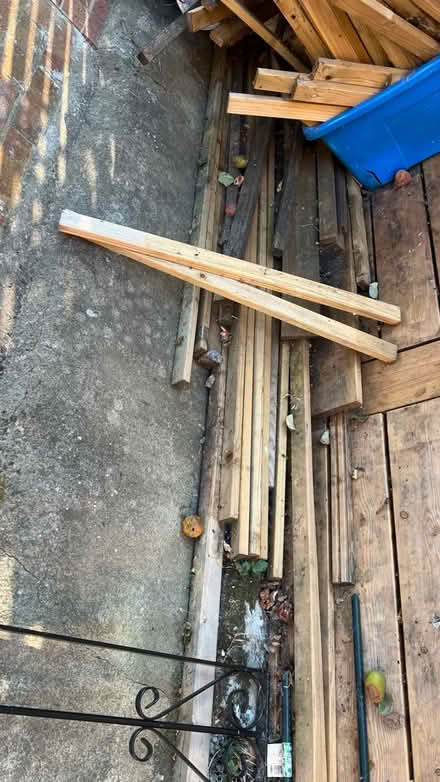 Photo of free Wood (Peckham SE15) #2