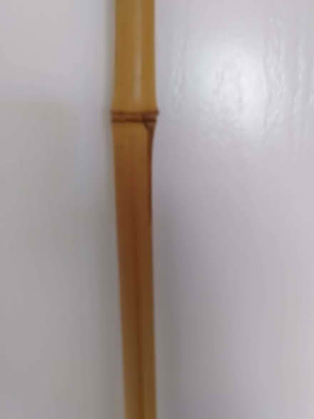 Photo of free Bamboo pole (Whitehill EH22) #2
