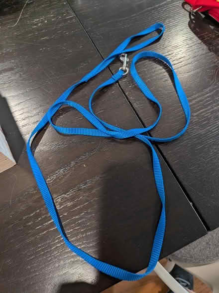 Photo of free Long Blue Leash (Broadview) #1