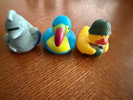 Photo of free Rubber ducks (Downers Grove - South) #1
