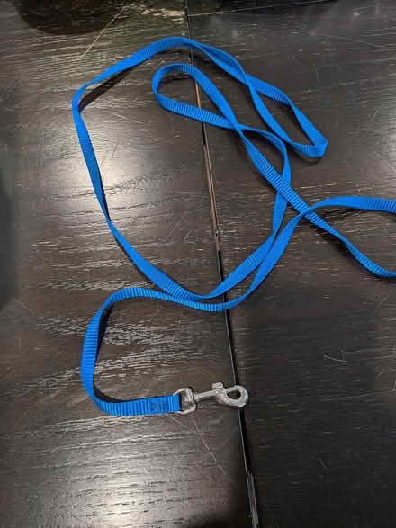 Photo of free Long Blue Leash (Broadview) #2