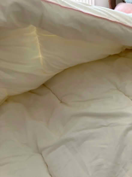 Photo of free Single duvet ( winter tog) unused (Hartley DA3) #2