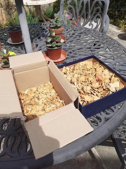 Photo of free Dried rose/flower petals (Bear flat, Bath BA2) #2