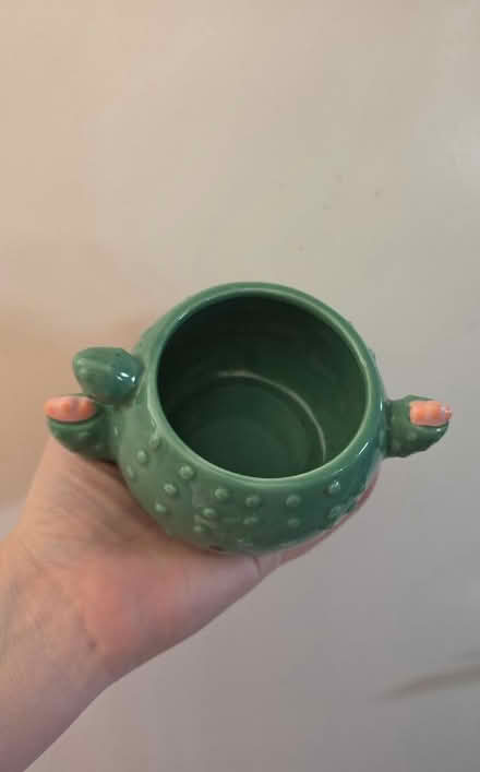 Photo of free Small cactus design plant pot (Stroud GL5) #2