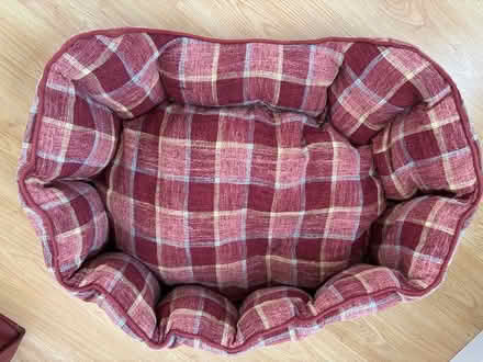Photo of free Soft dog bed (Southville, Cwmbran) #1