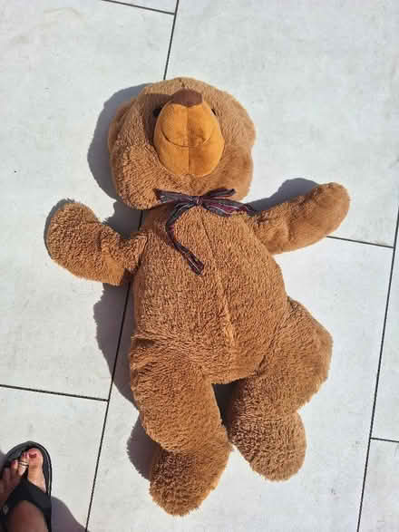 Photo of free Soft lion,teddy bear big size (Solihull B90) #4