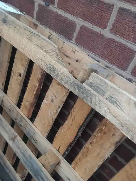 Photo of free Large wooden pallet (stalybridge SK15) #3