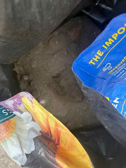 Photo of free soil . Dug from garden Ng53hq (Sherwod NG5) #3