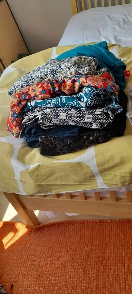 Photo of free Womens clothes (TN40 bexhill) #1
