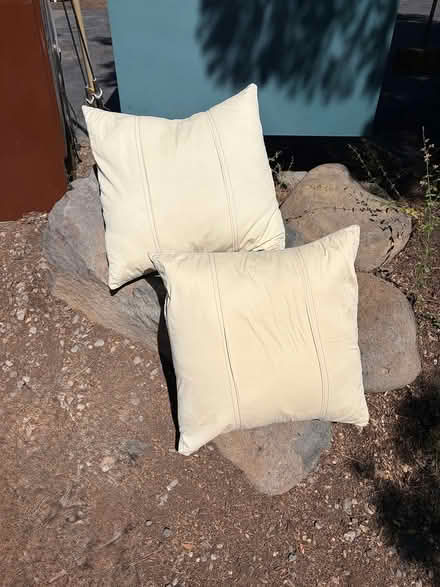 Photo of free 2 large pillows (Dollar Point, Tahoe City) #1