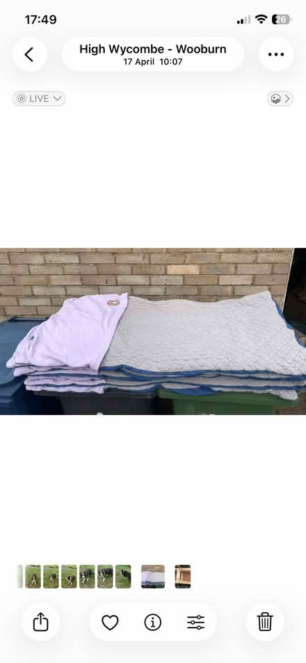Photo of free Guineadad guinea pig beds (Wooburn Green HP10) #1