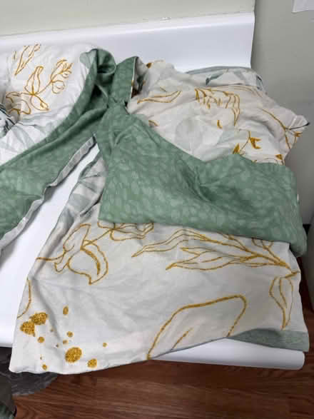 Photo of free Queen-size comforter & pillowcases (1075 Valencia Avenue) #2