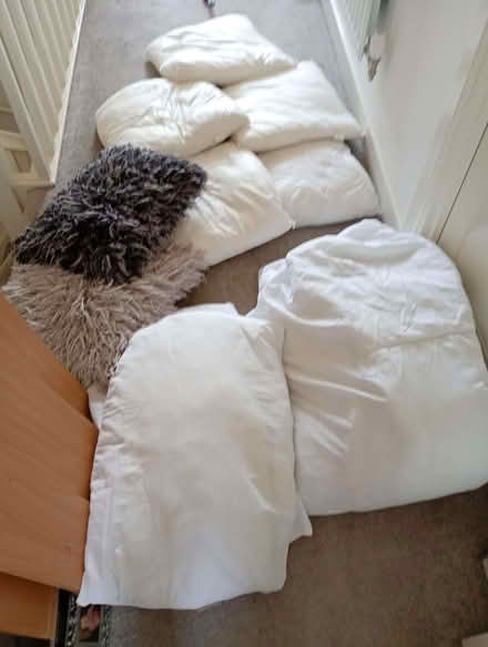 Photo of free Single bed single bedding pillows cushions therapy coach (Axminster EX13) #1