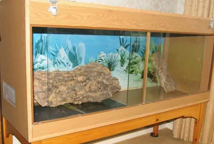 Photo of free Vivarium Tank & Stand (Bollington SK10) #2