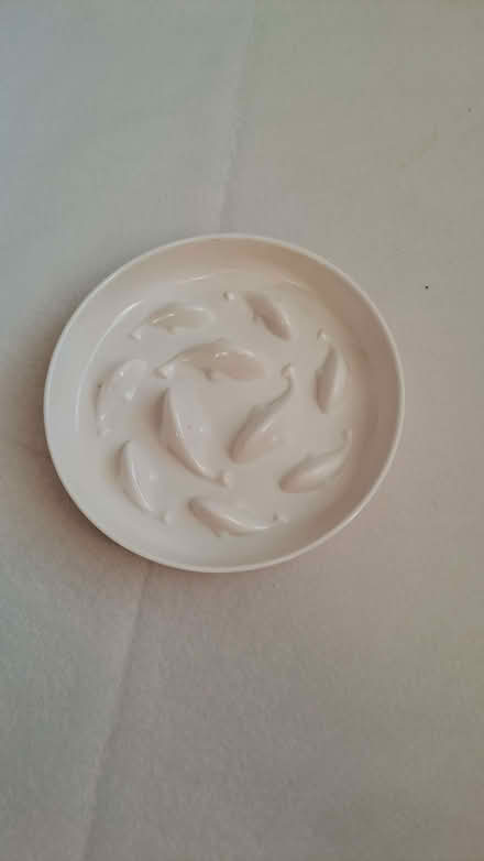 Photo of free Cat dish. Designed to make them eat less. (Sherrard's Green WR14) #1
