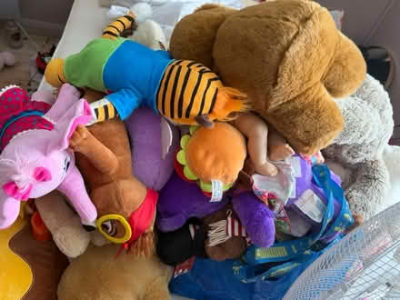 Photo of free Teddies and few dolls (Shefford SG17) #1