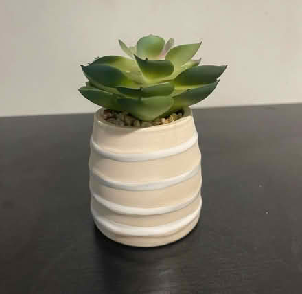 Photo of free Artificial Plant Ornament (Congleton) #1
