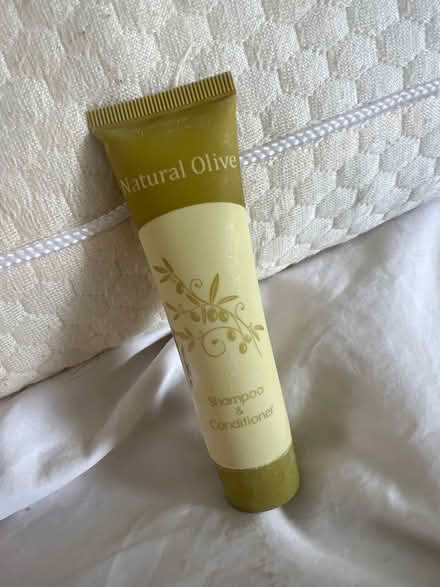 Photo of free Natural Olive Shampoo & Conditioner (Southsea PO4) #1