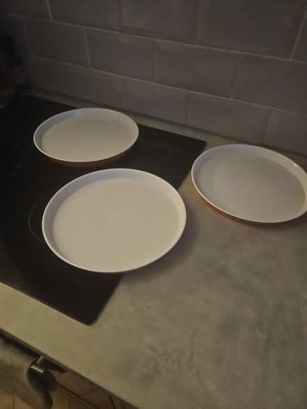 Photo of free 3 plastic picnic plates (Handsworth) #1