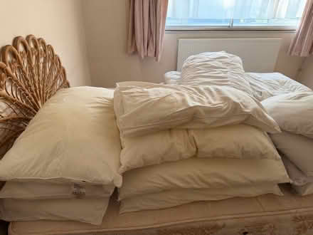 Photo of free Pillows assorted- House Clerance (Dagenham RM9) #1
