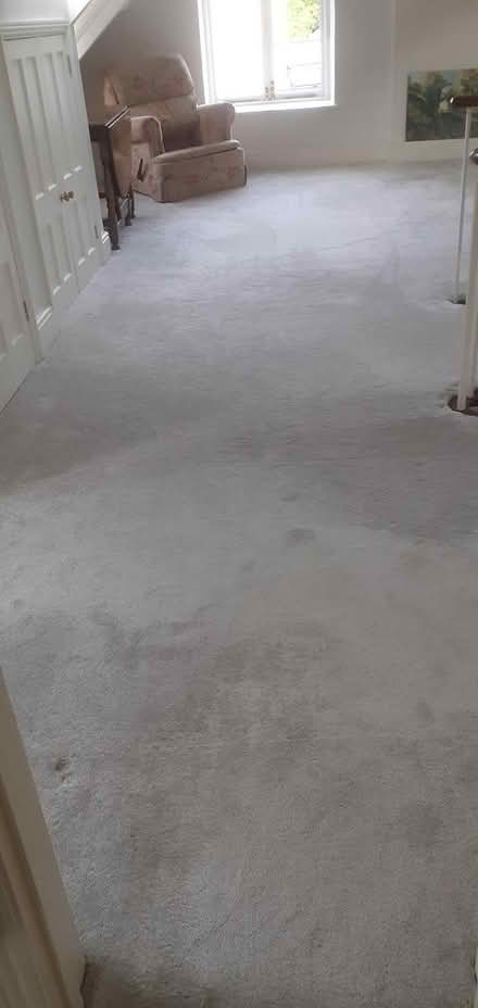 Photo of free Pale green carpet (GL6 (Chalford)) #1