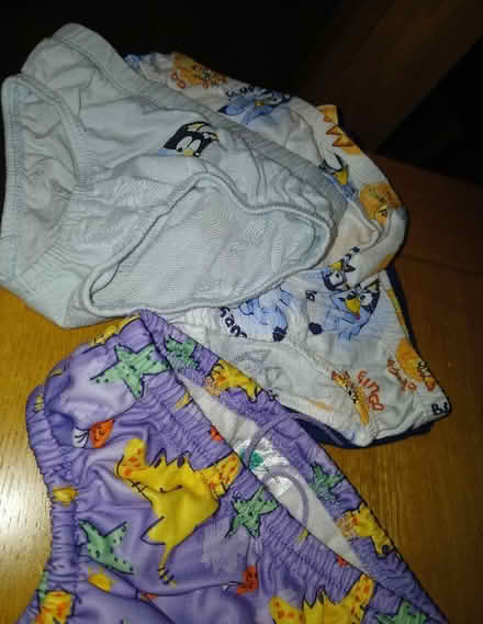 Photo of free Age 1.5/2yrs underwear and swim pants (Parkhead EH11) #1